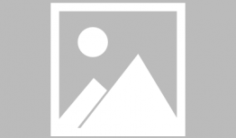 91年单身小姐姐直播,揭秘现代单身女性的生活状态与情感追求”