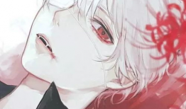 最火动漫,巅峰之战，忍者世界的传奇传奇