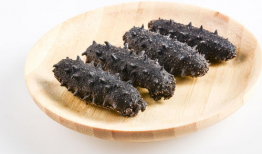 吃瓜爆料海参是真的吗